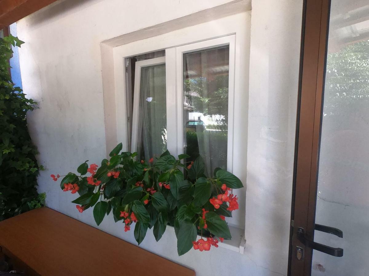 Fontana Διαμέρισμα Bovec Εξωτερικό φωτογραφία